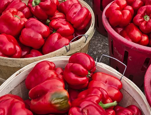 Baskets of red bell peppers at a market